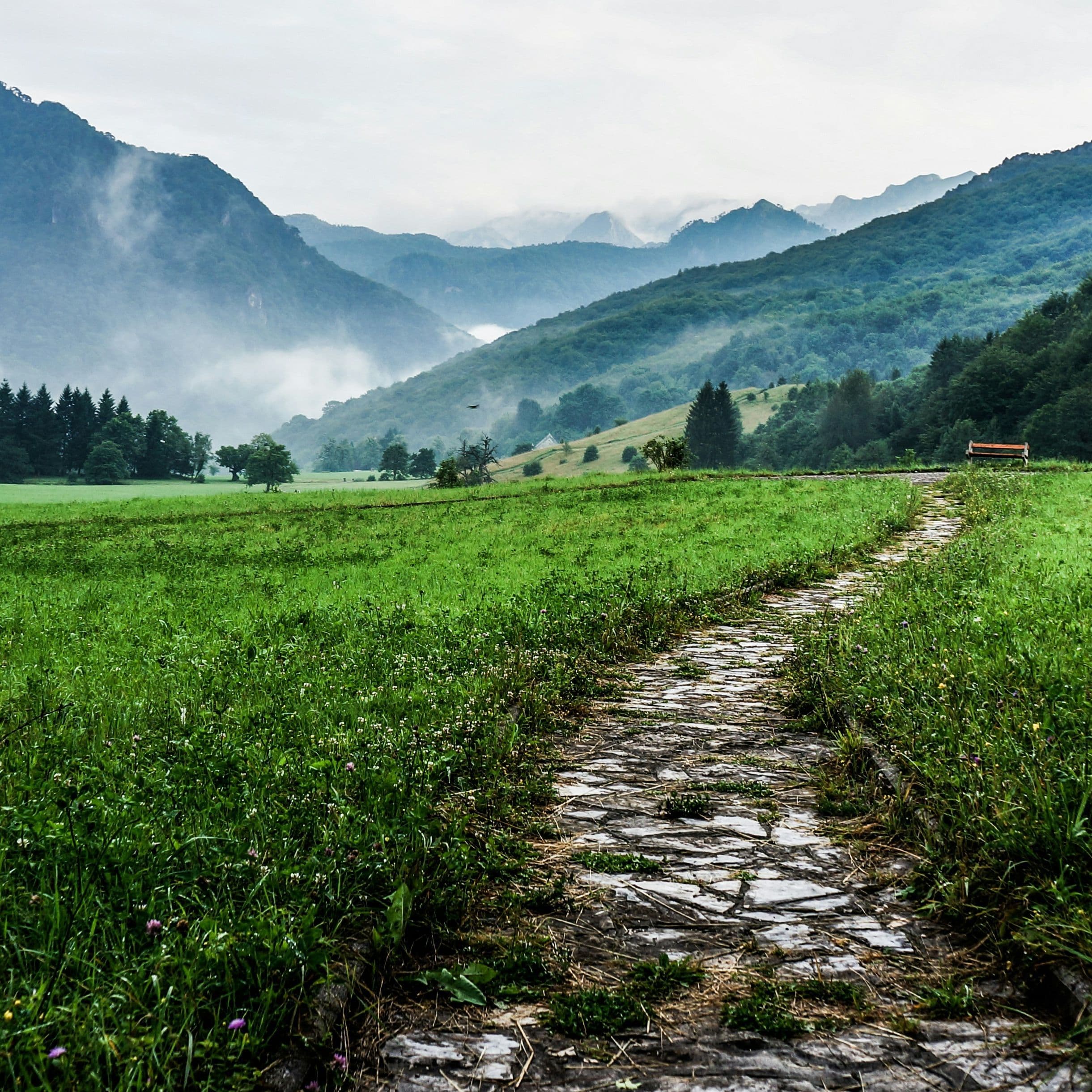 PSALM 23 & ME: A Trustworthy Guide